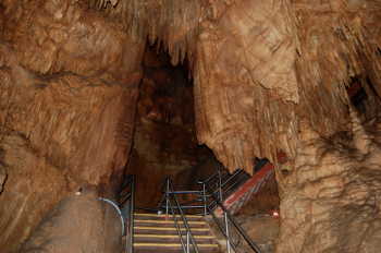 Mammoth Cave New Entrance Tour