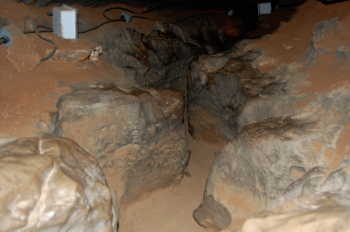 Mammoth Cave Historic Tour