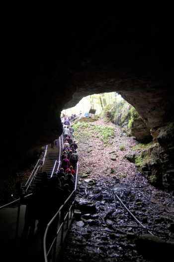 Mammoth Cave Historic Tour