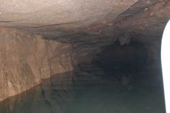 Bluespring Caverns