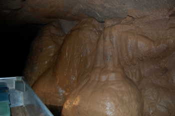 Bluespring Caverns